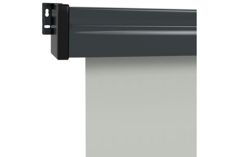 Balkongmarkis 170x250 cm grå - Grå - Balkongmarkis - Markiser - Sidomarkis - Balkongskydd & insynsskydd balkong