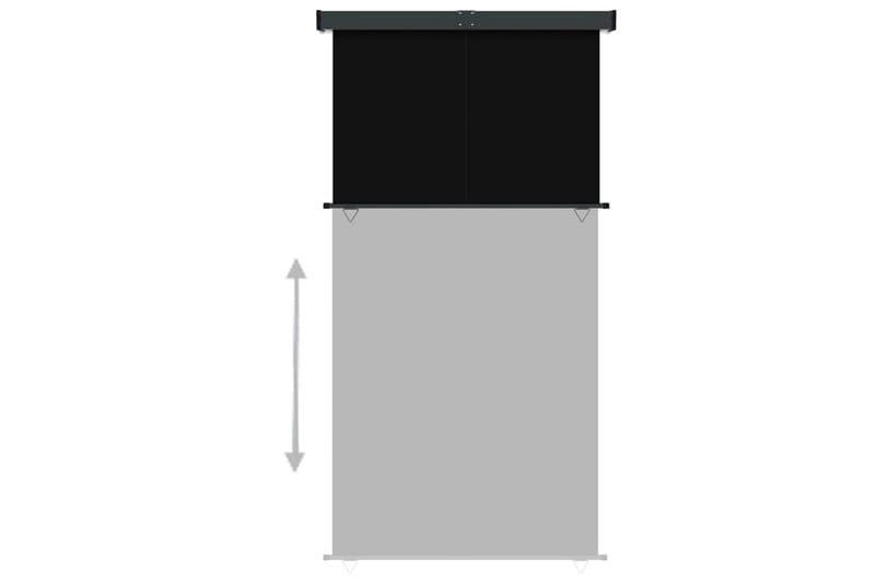 Balkongmarkis 170x250 cm svart - Svart - Balkongmarkis - Markiser - Sidomarkis - Balkongskydd & insynsskydd balkong