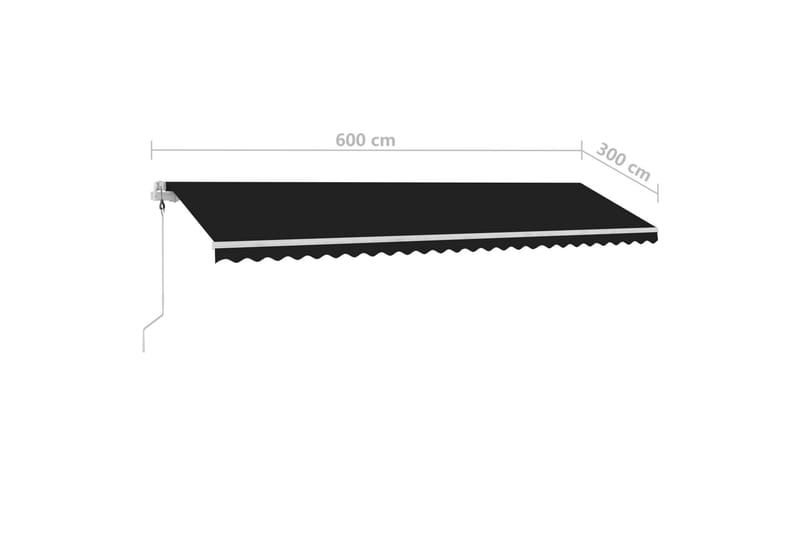 Fristående automatisk markis 600x300 cm antracit - Grå - Utemöbler - Solskydd - Markiser - Balkongmarkis