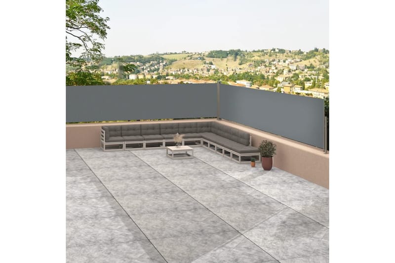 Infällbar sidomarkis antracit 117x1200 cm - Grå - Utemöbler - Solskydd - Markiser - Balkongmarkis