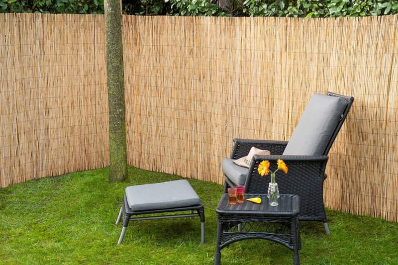 Nature Vindskydd 2 st bamburör 500x150 cm - Beige - Utemöbler - Solskydd - Skärmskydd & vindskydd - Skärm