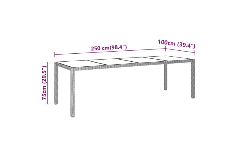 Utebord 250x100x75 cm härdat glas och konstrotting grå - Grå - Matbord utomhus