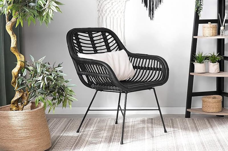 Canora Trädgårdsstol 51 cm - Svart - Utemöbler - Utestol & trädgårdsstol - Matstol & karmstol utomhus