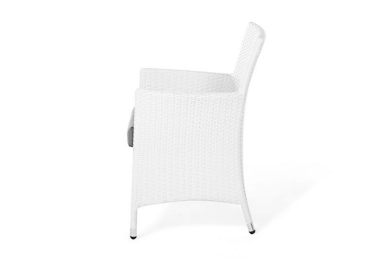 Galar Trädgårdsstol 2-pack - Vit - Utemöbler - Utestol & trädgårdsstol - Matstol & karmstol utomhus