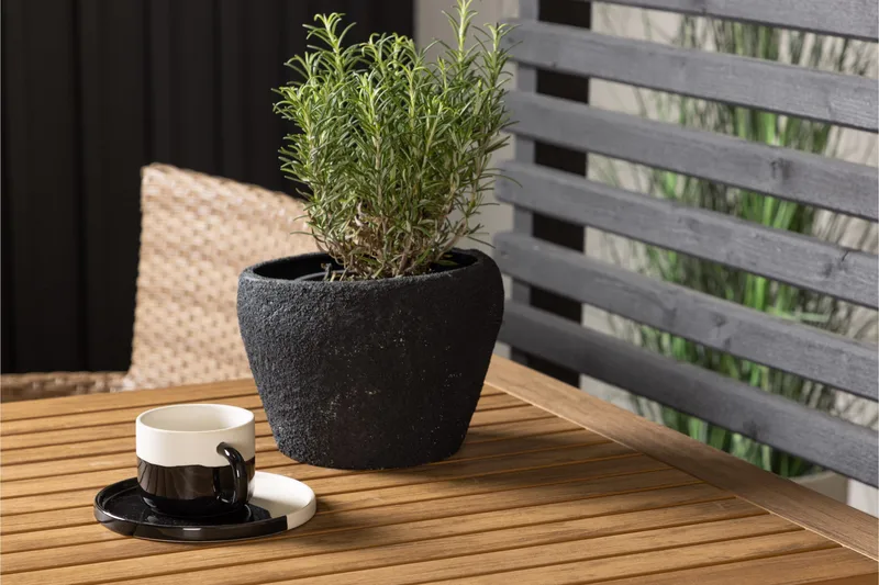 Diego Matgrupp 70 cm + 2 st Malina Karmstolar Brun - Brun - Utemöbler - Utegrupp - Matgrupp utomhus